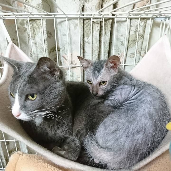 A6e083ab 8cea 47c9 8423 a72d88145c3e 1515631051441