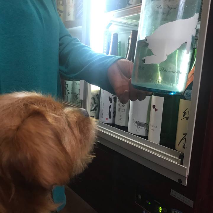 A6e0b7e0 a63e 4897 9ae3 69335cc5e1a9 1560254167650