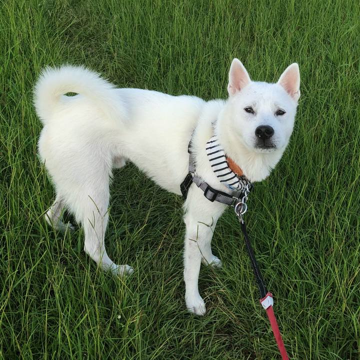 A6e0bf35 b3f5 4af1 8d77 bf2f8d371cb5 1533426252367