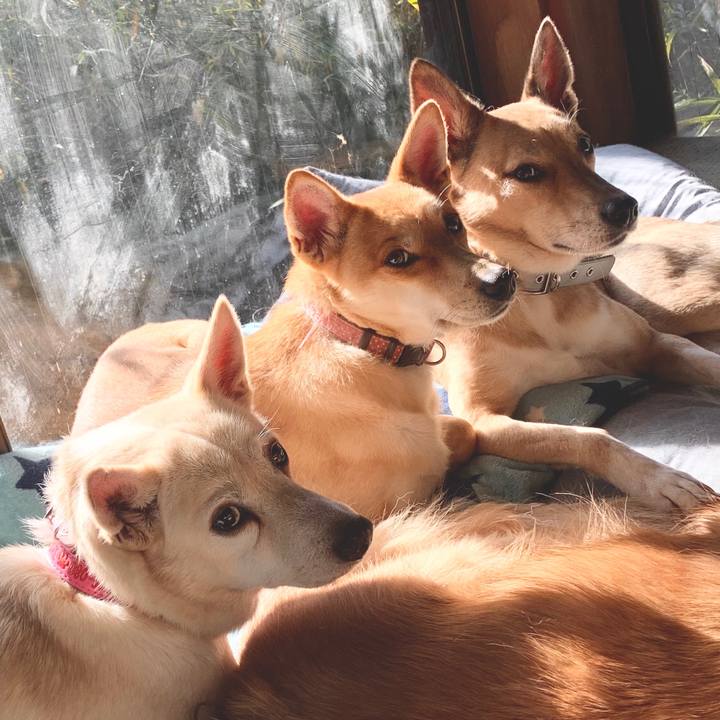 A6e0c7be e401 4865 b39d 14884ff70678 1577724734730