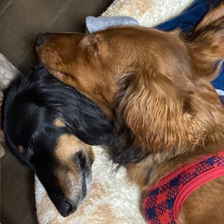 A6e0d8dd 2791 4ca8 8324 b77d264cdb07 1707023871614