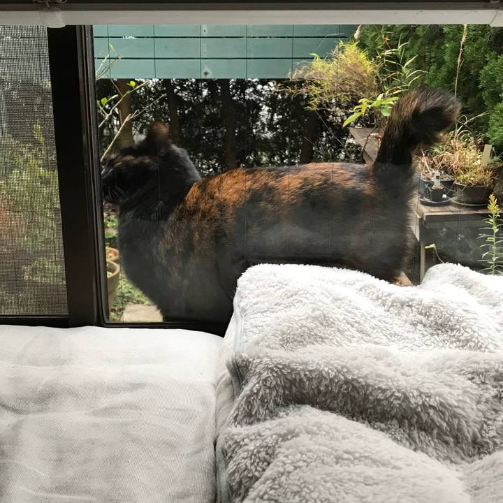 A6e11b60 ea0a 4726 9f5d b675011a3c28 1511766222696