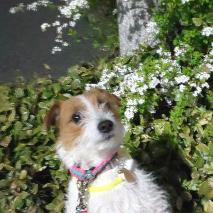 A6e12c57 01b1 45e8 8e30 f4372bb43994 1583921320013