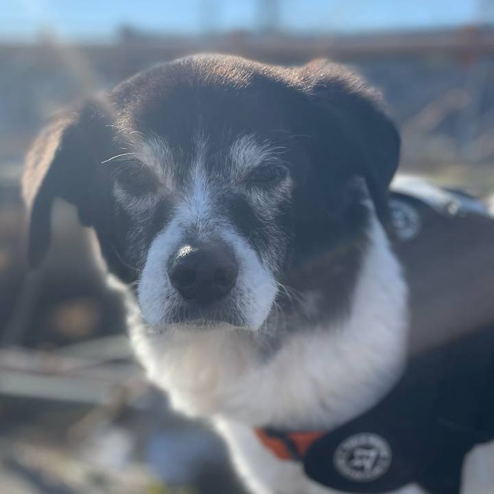 A6e19735 2a29 43c1 97a8 2266afd73d8e 1767525380610