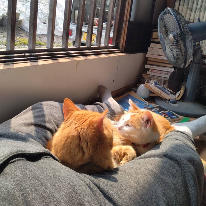 A6e1b956 aa91 4fcd aade 85a95e35434e 1742878531437