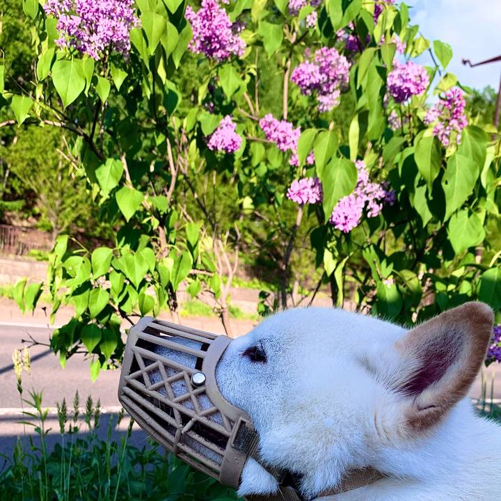 A6e1beaf 2c5d 4f27 aeff 5890998de77d 1621978100017