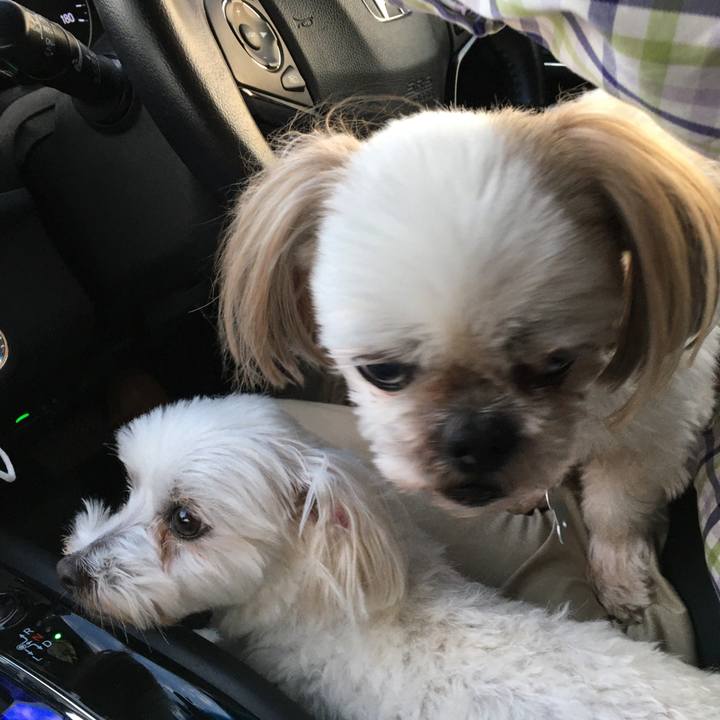 A6e1c1d9 55b9 4789 bb88 b2ccbdb4339f 1636022148731