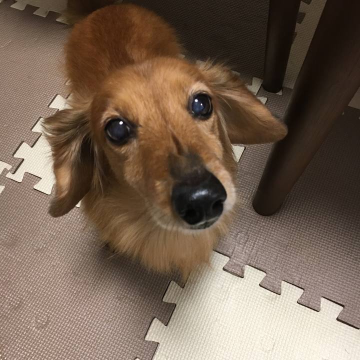 A6e1fe11 835b 4f1a 9b0a 04ee0df847f2 1586180446456