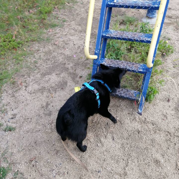 A6e209a2 1fa0 41de 9f7d 53336a73824c 1654031464088