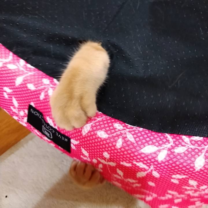 A6e22fe5 beba 4889 a8bd 6d544e89fa6b 1589439853047