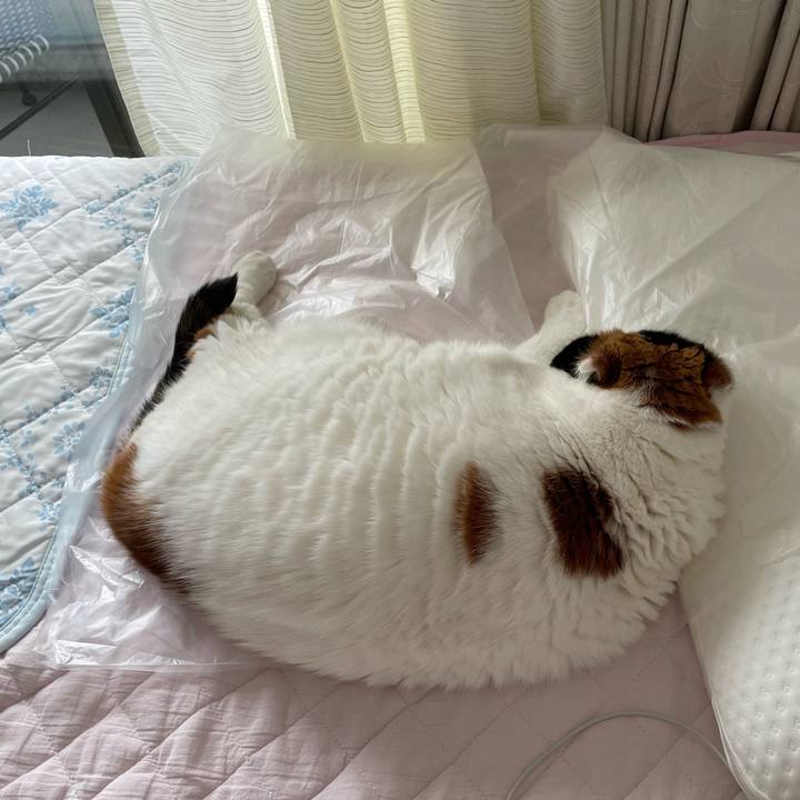 A6e246b2 816c 4a7c 854f 2da05ec7e594 1656038838819