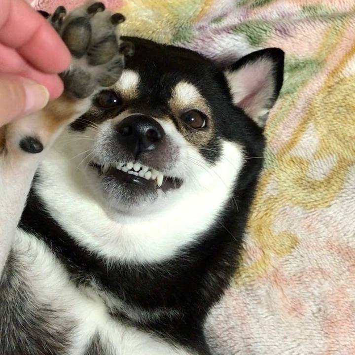 A6e27286 cae0 46ab b8f6 718cbc40c2cc 1547823590617