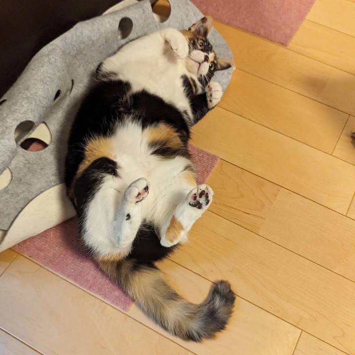 A6e2ca5d 5fce 4c33 8e24 474ff8ee8fa9 1705031426022