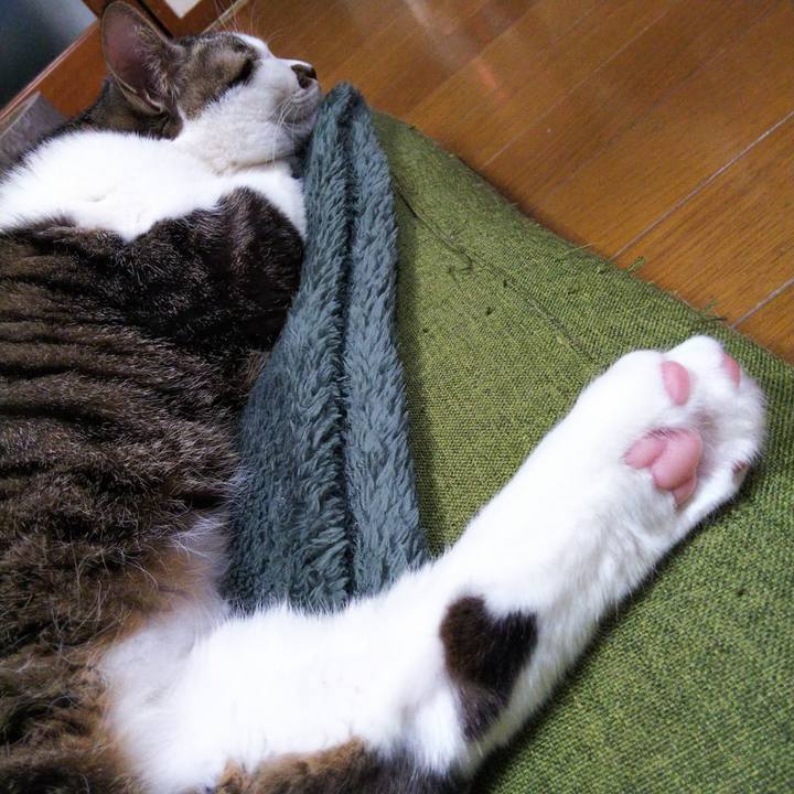 A6e2cdb6 8fbb 44fb b356 797f03d0cb6a 1639793873463