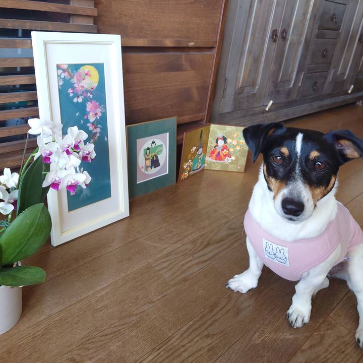 A6e2fffa 8a39 442e af19 c5022d5f073e 1709430752039