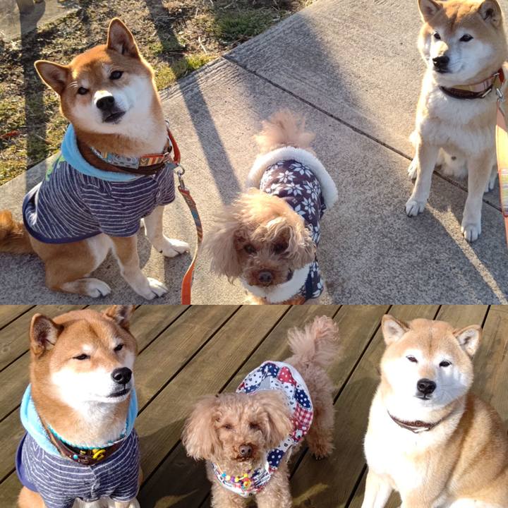 A6e31713 a6ed 4e14 858e 10692f3f3f44 1611908491571