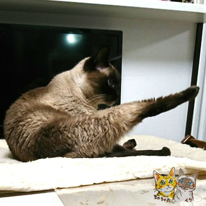 A6e31de8 d7a7 44d4 8f58 fcf3236174ad 1554065108418