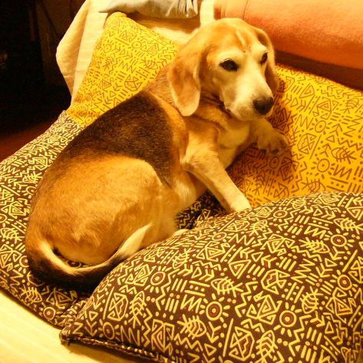 A6e36353 af88 463c b1a6 c2b3af70ffb7 1673227916346