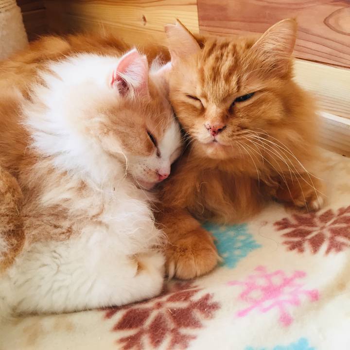 A6e36fe6 cba5 4be5 96b0 9f197953a061 1580511079132