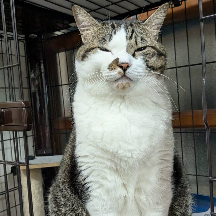 A6e38d54 bfd3 4c92 921a 9c98f825d19a 1729857074688