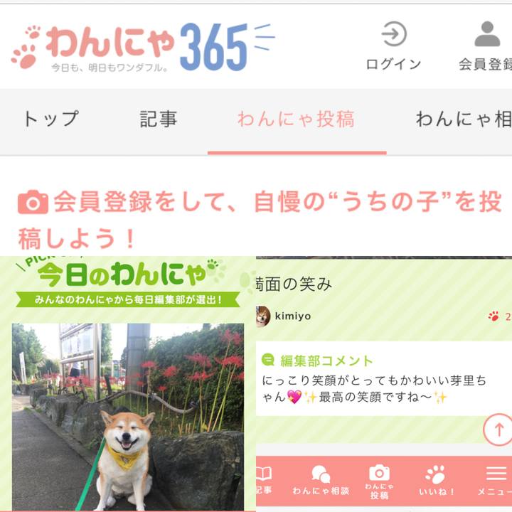 A6e3a5f4 70d2 41b2 a984 ab265e32f82b 1643325424524