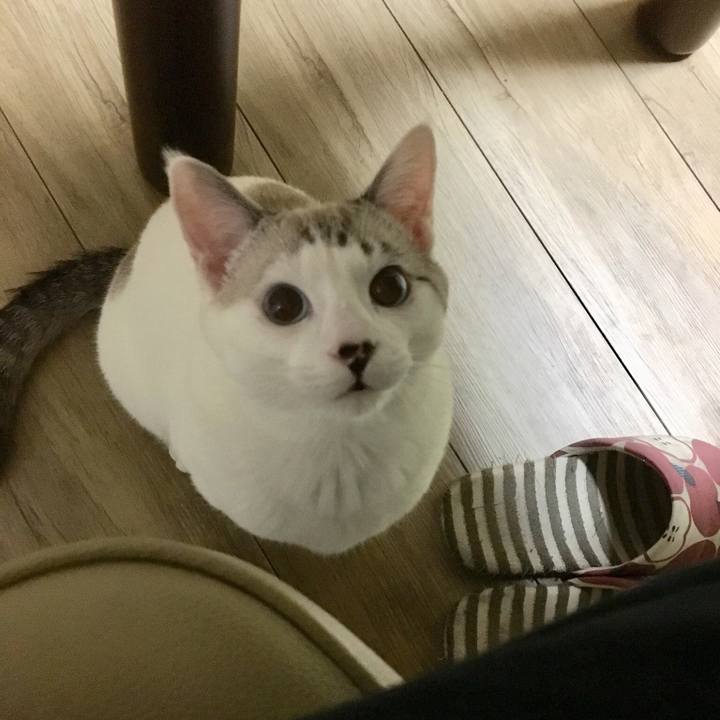 A6e3acbb 8462 414d b32f f308e22010f7 1544704440435