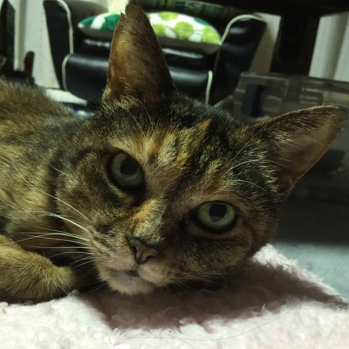 A6e3ae6a b69c 410f bfd4 e8245177323b 1529841560529