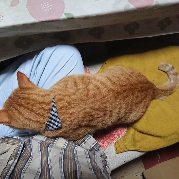 A6e407ba 016f 4a9f 9ee2 eb79db3a81e7 1571433813980