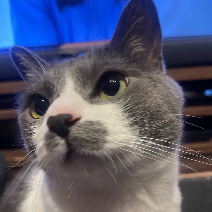 A6e412b4 7990 4c8d 8734 e66097fcd4ff 1686823444683