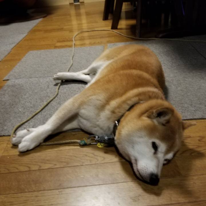 A6e433eb f8a6 4c94 8000 482d90f28dbd 1636099959880