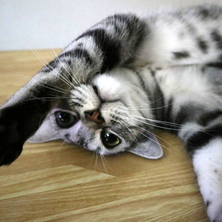 A6e445ad 803e 47e1 8729 c86a7e1659c8 1584950741001