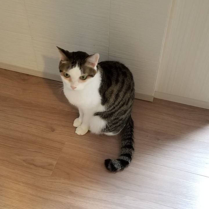 A6e45d85 c68c 4f6f 8215 58e97832858a 1620336890785