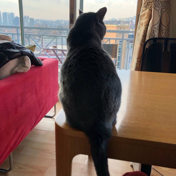 A6e482f0 63eb 4ba0 ab57 c1232e165107 1575442687848