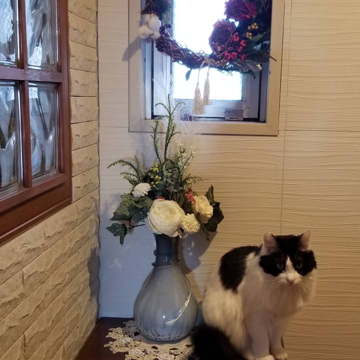 A6e4a6a4 10a7 42f9 b050 1a10ab7edc0e 1577579942755