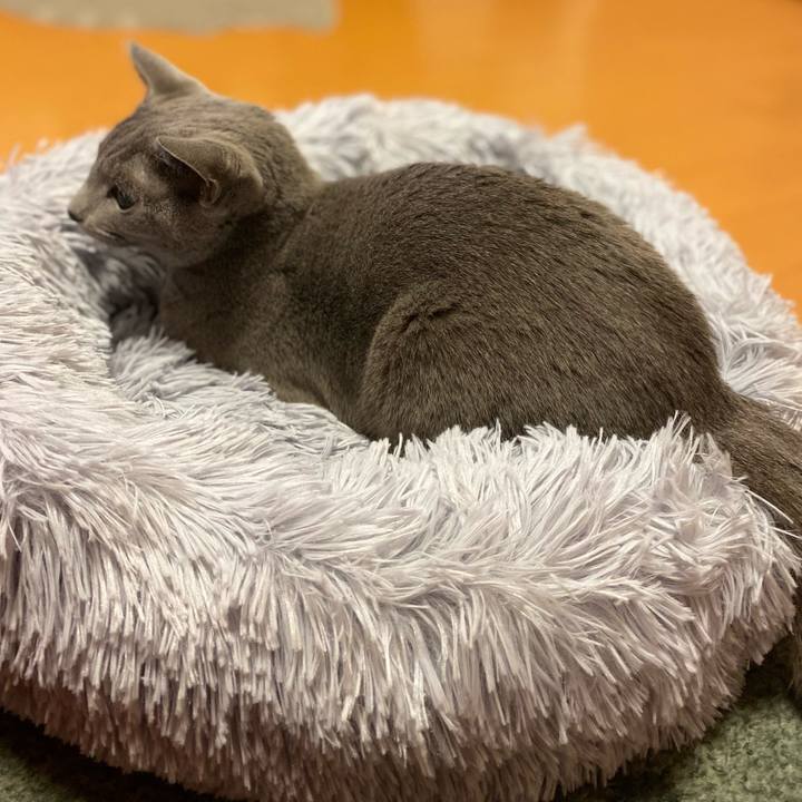 A6e4b203 8460 4959 9b62 c88300c93d84 1639133397073