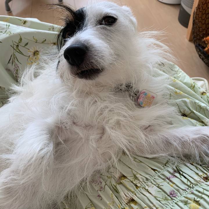 A6e4bae0 8e5a 4b42 9d97 e8976dc9939a 1660717692948