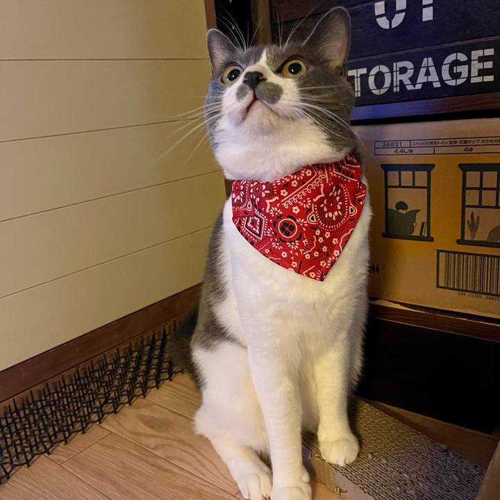 A6e4d1cd 1d26 49c3 928f bdc23fc992d3 1661843699088