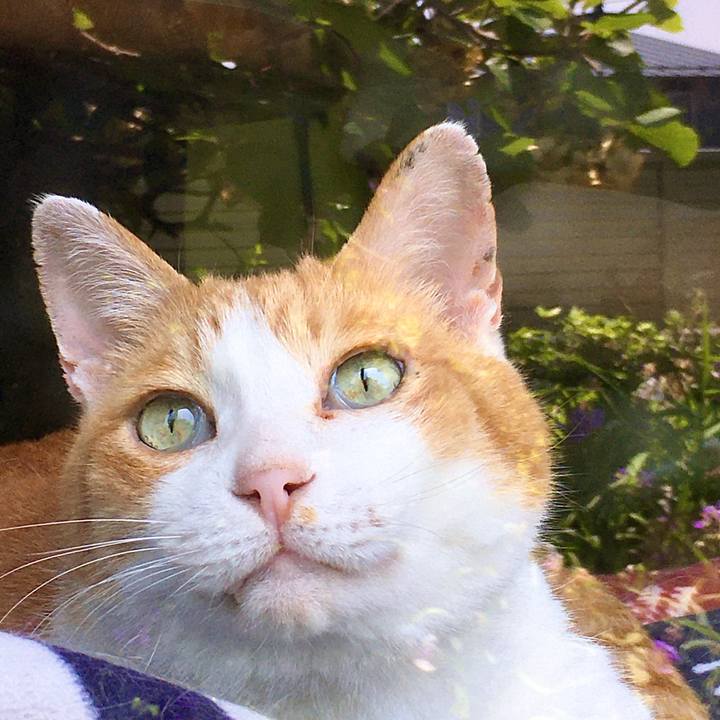 A6e53fa8 1c8c 4057 891c 54662edf0b2c 1591254655326