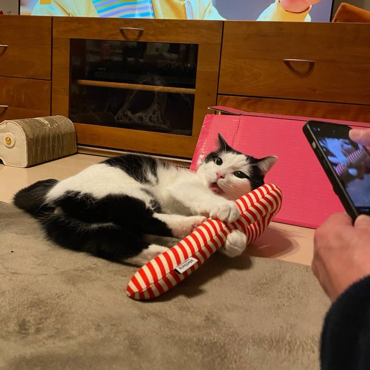 A6e54dbb fc24 452c a4f1 7e8283c0e9f4 1766618574803