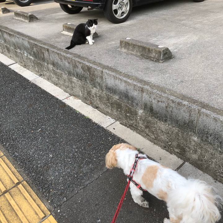 A6e55aa6 c8fe 4e13 9b2e c97feebc285d 1623621409399