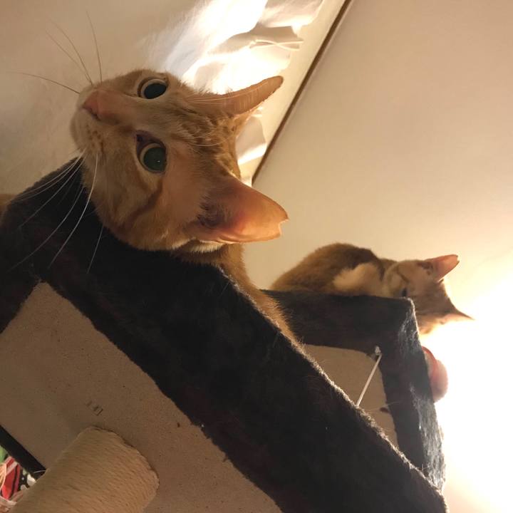 A6e564be 6fcb 4646 853e 17a40d2c6dd1 1591794230331