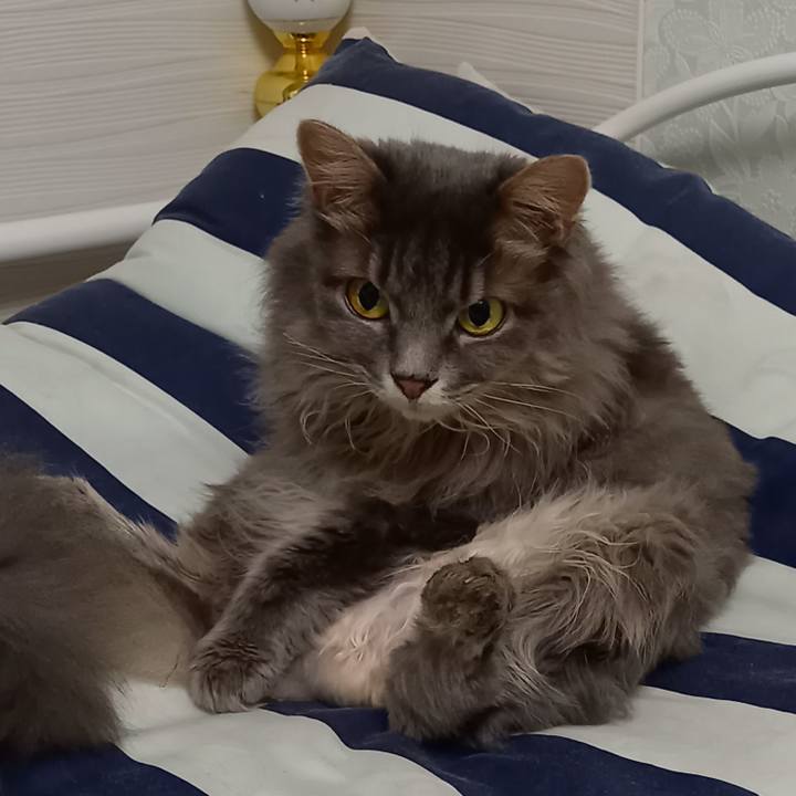 A6e58f12 2f57 4dda 9890 c4f5e382953d 1600983279210