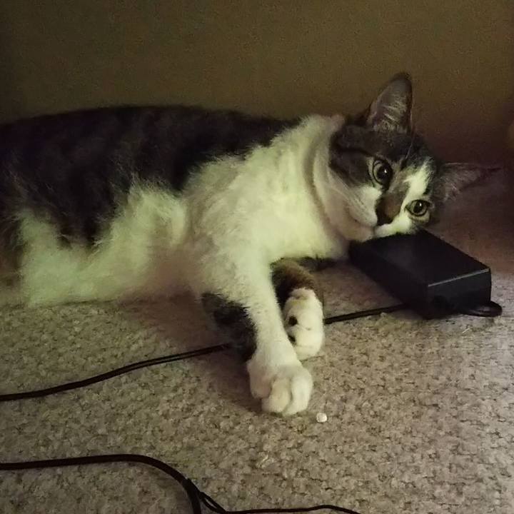 A6e58f33 020c 493a 9f93 094f39d123a1 1604409541318