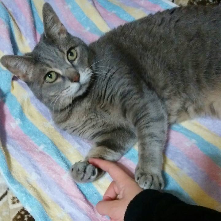 A6e59cee 30b6 401a a92d 178dfbf38c39 1585226445519