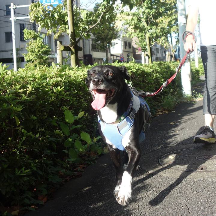 A6e5a15d 5ce8 47a5 8462 c7005c7d82de 1693439570028