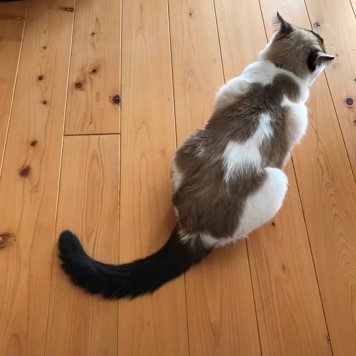 A6e5a5f2 c4df 4e83 8e79 e3457f371ac6 1570257143188