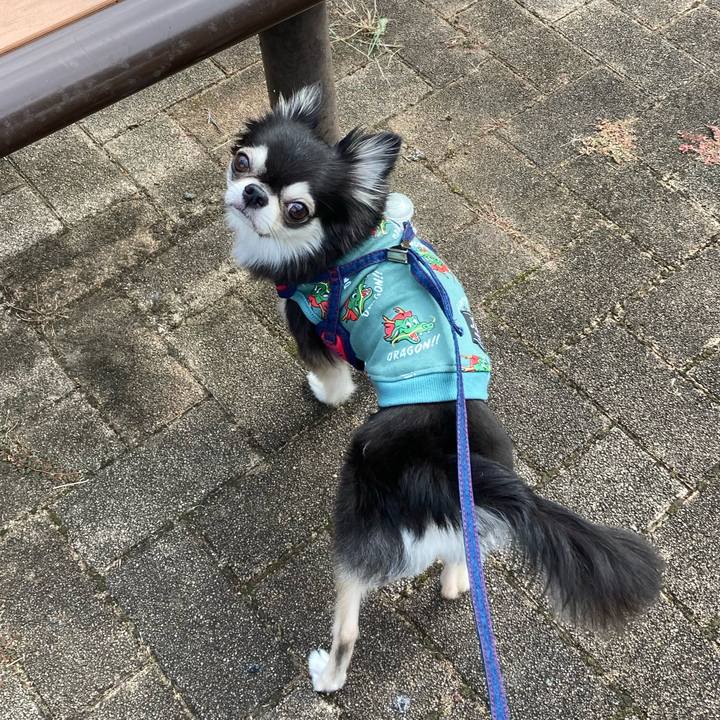 A6e5b369 a6b3 4ec0 83ac 494e7d3af11b 1697904180740