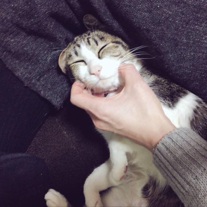 A6e5bdfe 55b5 4889 b80f f473d2454a7b 1513166753959