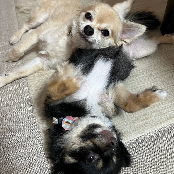 A6e5d402 ee5b 40ca a9f3 eed004bf8196 1723450703749