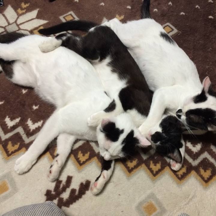 A6e5e4bc 9a72 4a6d 9cb6 e742c23fdb2d 1646884259235